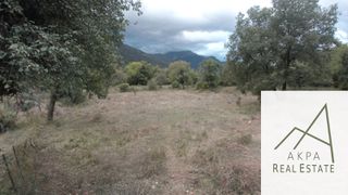 Οικόπεδο 5.000 τ.μ. για πώληση, Ευρυτανία, Ποταμιάς-thumb-14