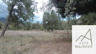 Οικόπεδο 5.000 τ.μ. για πώληση, Ευρυτανία, Ποταμιάς-thumb-16