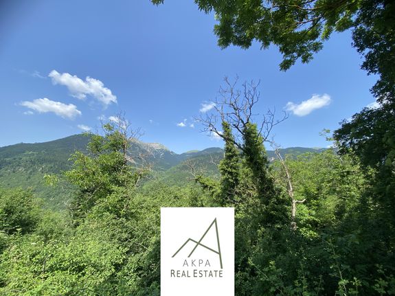 Land plot 1.049 sqm for sale, Evrytania, Potamias