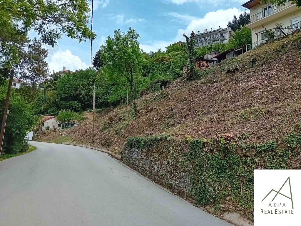 Οικόπεδο 1.049 τ.μ. προς πώληση, Ποταμιά Ευρυτανίας