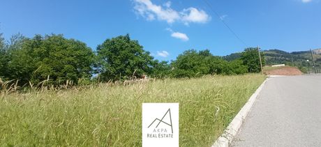 Land plot 400sqm for sale-Karpenisi