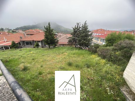 Land plot 501sqm for sale-Karpenisi