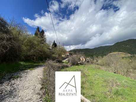 Land plot 240sqm for sale-Karpenisi