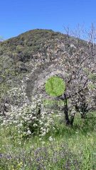 Μονοκατοικία 60 τ.μ. προς πώληση, Κυπαρισσία Μεσσηνίας-thumb-13
