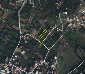 Οικόπεδο 903 τ.μ. για πώληση, Εύβοια, Ληλάντιο-thumb-2