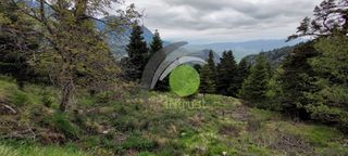 Οικόπεδο 4.500 τ.μ. για πώληση, Φωκίδα, Παρνασσός-thumb-1