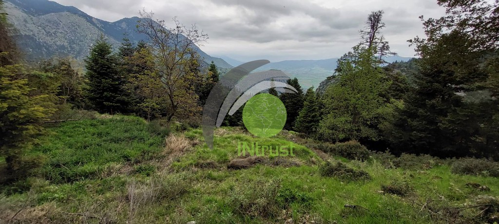 Οικόπεδο 4.500 τ.μ. προς πώληση, Επτάλοφος Παρνασσού