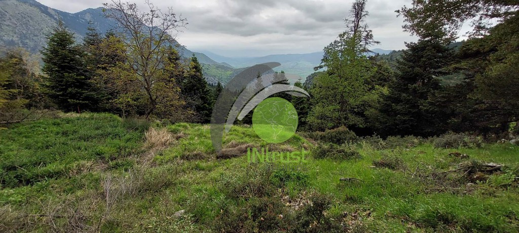 Οικόπεδο 4.500 τ.μ. προς πώληση, Επτάλοφος Παρνασσού