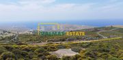 Parcel 29.261sqm for sale-Andros