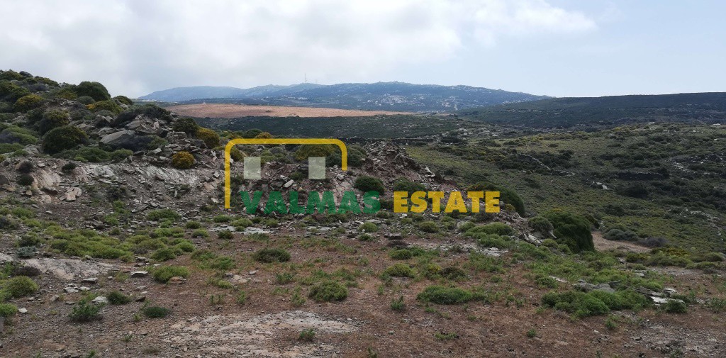 Αγροτεμάχια 29.261 τ.μ. πρός πώληση, Κυκλάδες, Άνδρος