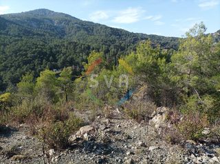 Αγροτεμάχια 2.846 τ.μ. για πώληση