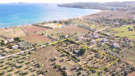 Οικόπεδο 9.822τ.μ. για πώληση-Κρανίδι