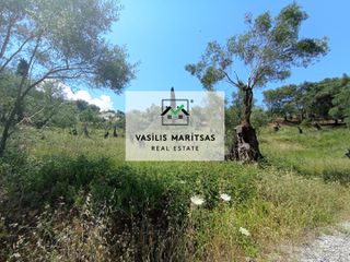 Οικόπεδο 5.263 τ.μ. για πώληση, Ν. Κέρκυρας, Κέρκυρα-thumb-3