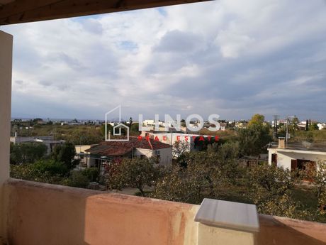 Συγκρότημα διαμερισμάτων 320τ.μ. για πώληση-Αίγινα