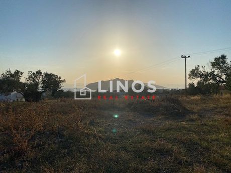 Οικόπεδο 8.311τ.μ. για πώληση-Αίγινα