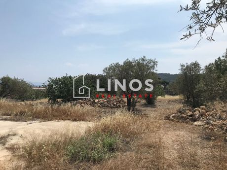 Οικόπεδο 3.600τ.μ. για πώληση-Αίγινα