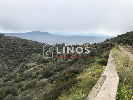 Οικόπεδο 40.000τ.μ. για πώληση-Αίγινα