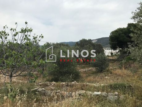 Οικόπεδο 2.800τ.μ. για πώληση-Αίγινα