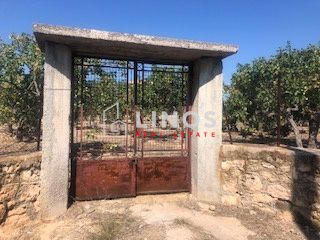 Οικόπεδο 6.511τ.μ. για πώληση-Αίγινα