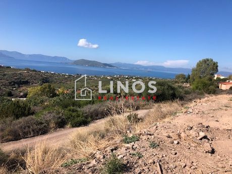 Οικόπεδο 11.500τ.μ. για πώληση-Αίγινα