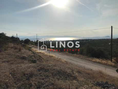Οικόπεδο 10.000,2τ.μ. για πώληση-Αίγινα