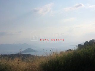 Οικόπεδο 10.000τ.μ. για πώληση-Αίγινα