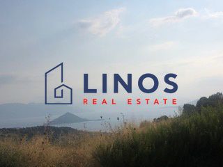 Land plot 10.000 sqm for sale, Argosaronikos Islands, Aegina