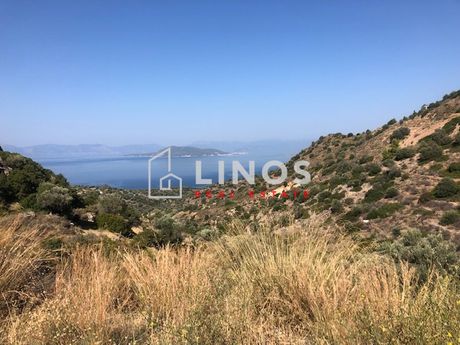 Οικόπεδο 8.000τ.μ. για πώληση-Αίγινα