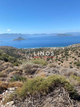 Οικόπεδο 44.000τ.μ. για πώληση-Αίγινα