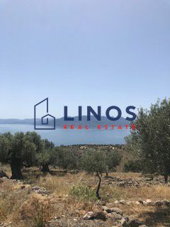 Land plot 11.800 sqm for sale, Argosaronikos Islands, Aegina