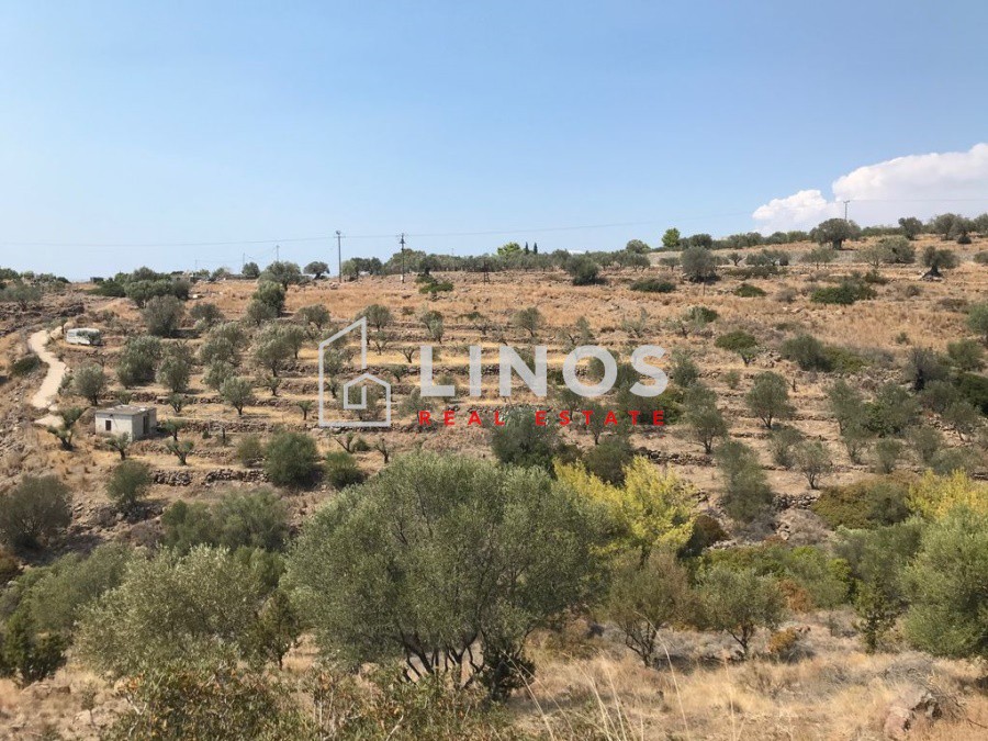 Οικόπεδο 5.200 τ.μ. πρός πώληση, Νησιά Αργοσαρωνικού, Αίγινα