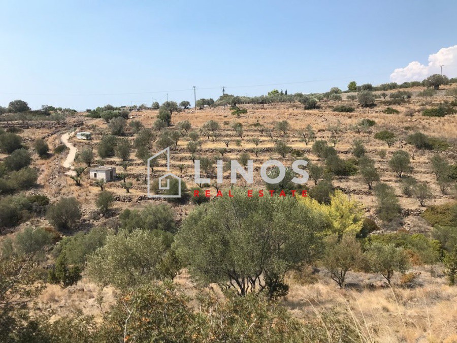 Οικόπεδο 5.200 τ.μ. πρός πώληση, Νησιά Αργοσαρωνικού, Αίγινα