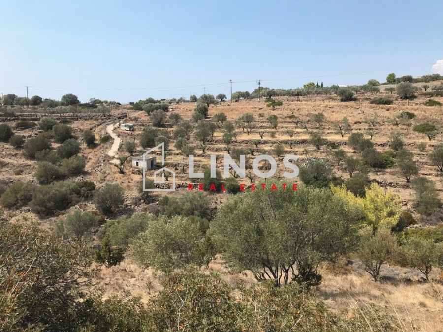 Οικόπεδο 5.200 τ.μ. πρός πώληση, Νησιά Αργοσαρωνικού, Αίγινα