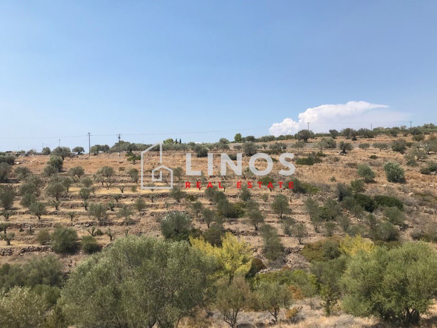 Οικόπεδο 5.200 τ.μ. πρός πώληση, Νησιά Αργοσαρωνικού, Αίγινα