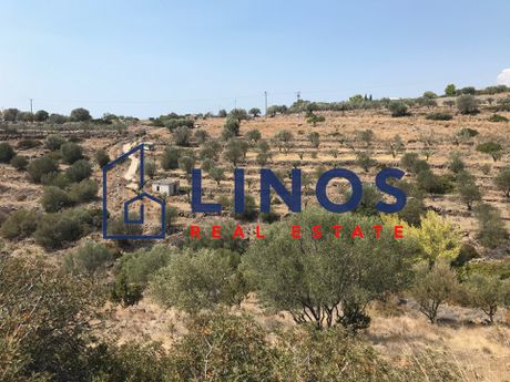 Οικόπεδο 5.200 τ.μ. πρός πώληση