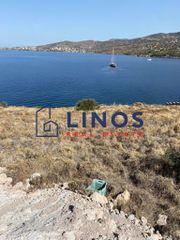 Οικόπεδο 10.000 τ.μ. για πώληση