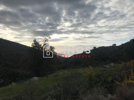 Οικόπεδο 70.000τ.μ. για πώληση-Αίγινα