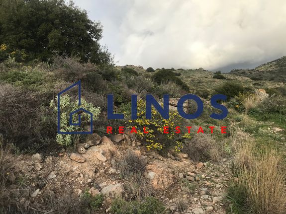Land plot 70.000 sqm for sale, Argosaronikos Islands, Aegina