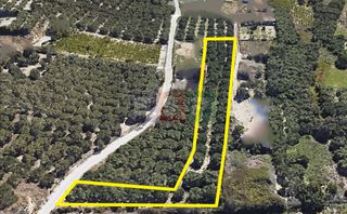 Αγροτεμάχια 2.000 τ.μ. για πώληση