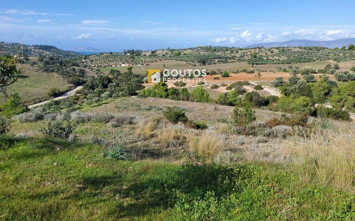 Αγροτεμάχια 27.000 τ.μ. για πώληση, Αργολίδα, Κρανίδι