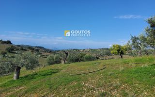 Αγροτεμάχια 27.000 τ.μ. για πώληση, Αργολίδα, Κρανίδι-thumb-10