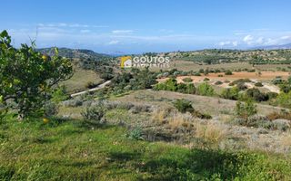 Αγροτεμάχια 27.000 τ.μ. για πώληση, Αργολίδα, Κρανίδι-thumb-1