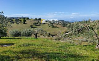 Αγροτεμάχια 27.000 τ.μ. για πώληση, Αργολίδα, Κρανίδι-thumb-3