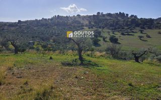 Αγροτεμάχια 27.000 τ.μ. για πώληση, Αργολίδα, Κρανίδι-thumb-8