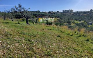 Αγροτεμάχια 27.000 τ.μ. για πώληση, Αργολίδα, Κρανίδι-thumb-12