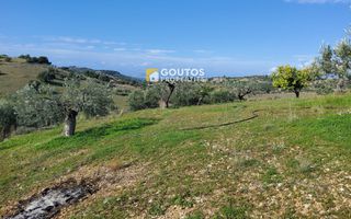 Αγροτεμάχια 27.000 τ.μ. για πώληση, Αργολίδα, Κρανίδι-thumb-9
