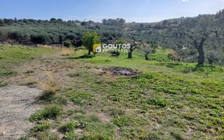 Αγροτεμάχια 27.000 τ.μ. για πώληση, Αργολίδα, Κρανίδι-thumb-22