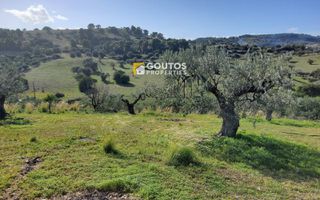 Αγροτεμάχια 27.000 τ.μ. για πώληση, Αργολίδα, Κρανίδι-thumb-6