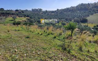 Αγροτεμάχια 27.000 τ.μ. για πώληση, Αργολίδα, Κρανίδι-thumb-11