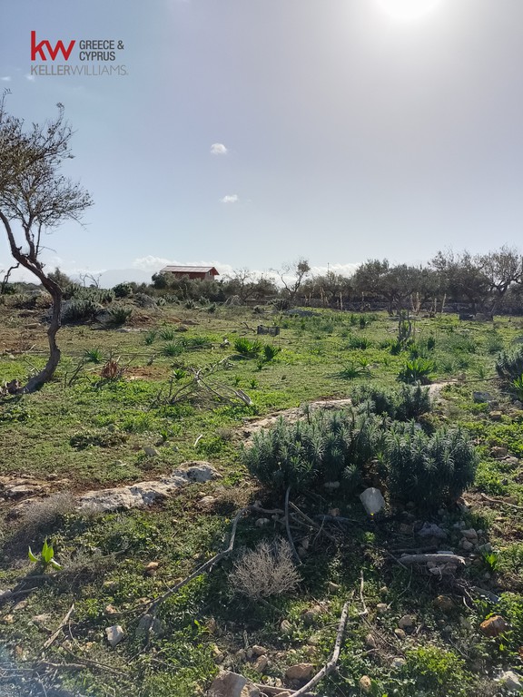 Οικόπεδο 4.025 τ.μ. προς πώληση, Κάτω Μαράθι